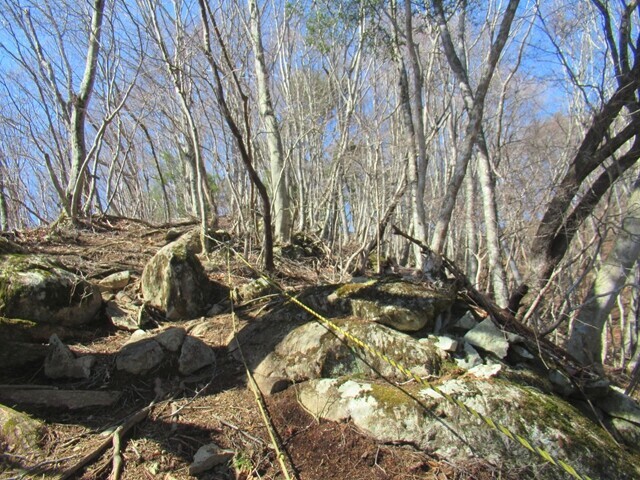 棚山登山道のロープ地点