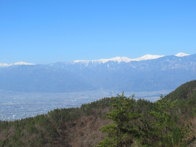 棚山からの甲府盆地の景色