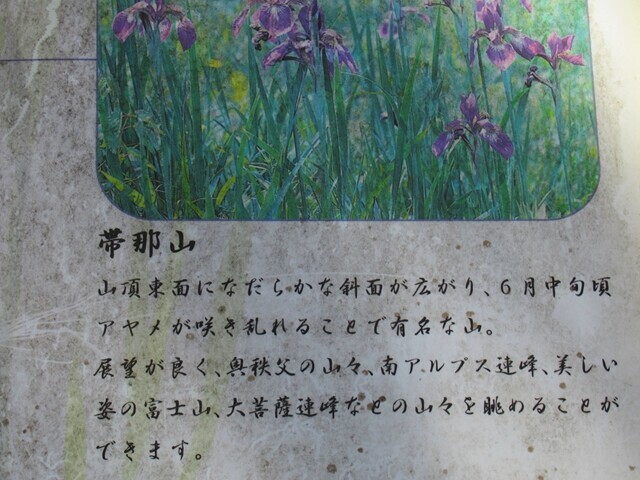 帯那山山頂のアヤメの案内