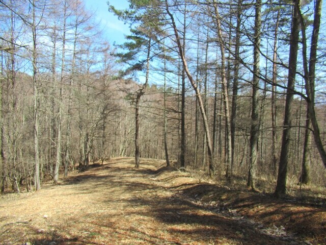 奥帯那山から水ヶ森への登山コース