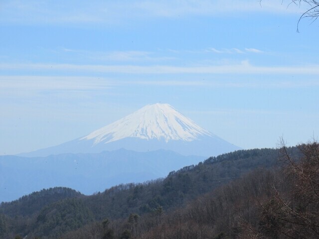 弓張峠から水ヶ森の登山道の様子