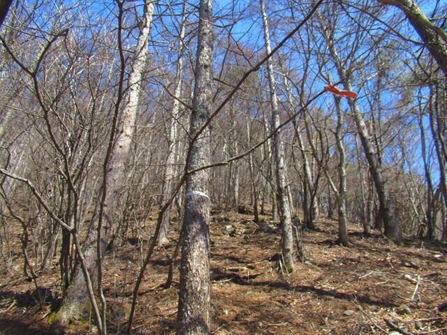 水ヶ森への急登