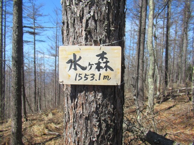 水ヶ森の山頂