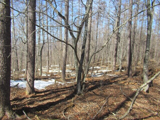 水ヶ森山頂付近から昇仙峡へのルート