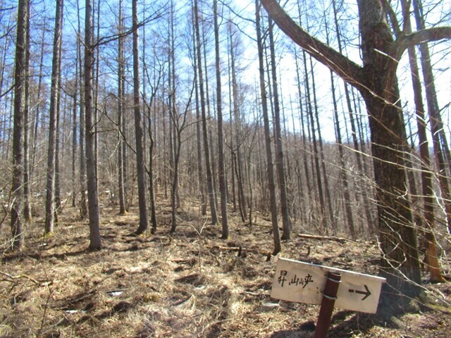 振り返っての水ヶ森と昇仙峡への分岐