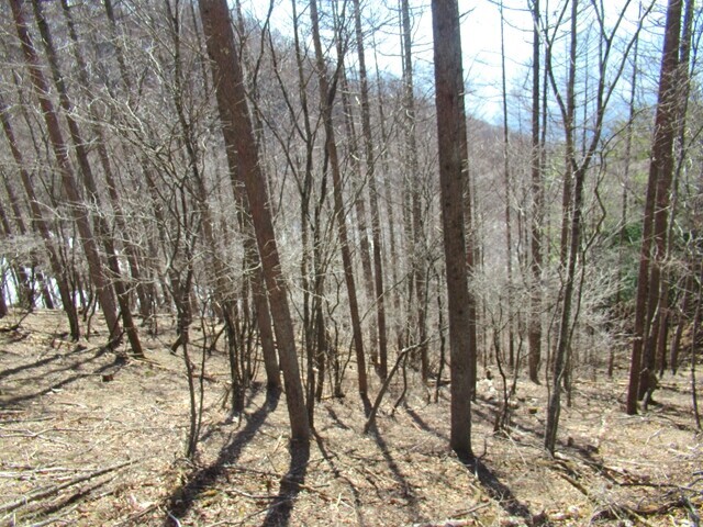 昇仙峡方面のルート詳細