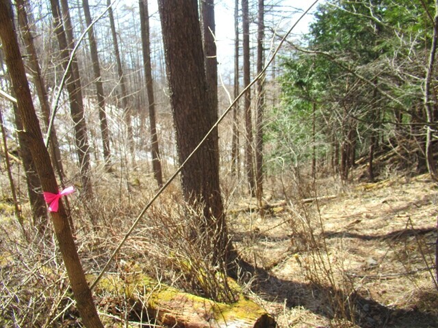 昇仙峡を目指して斜面を降りている様子