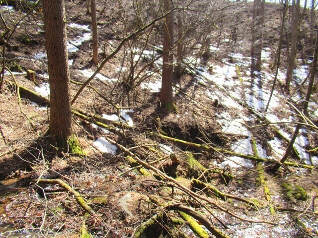 水ヶ森から昇仙峡の登山ルートで迷っている様子