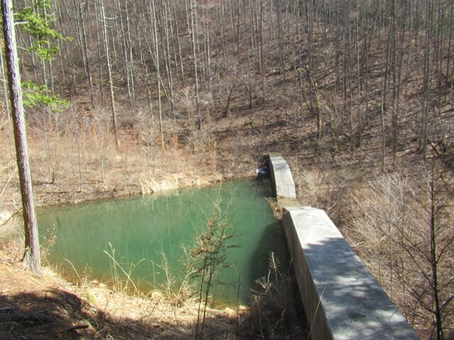 昇仙峡近くの人工池