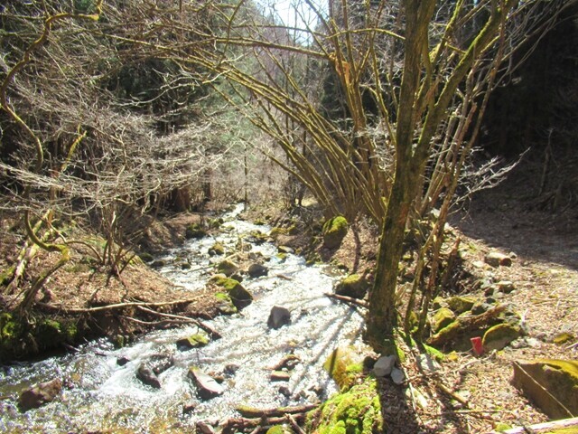 荒川ダム方面の登山道の様子