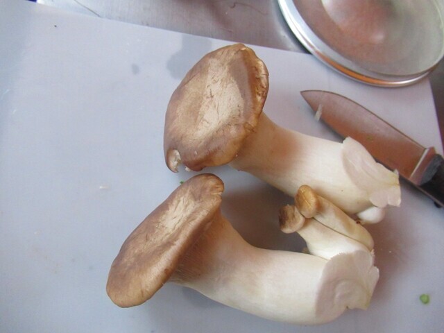 キャンプでキノコ料理