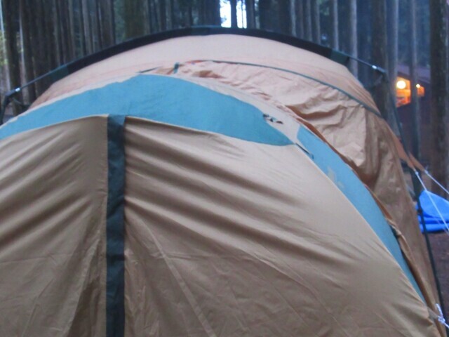 隣のサイトとの距離感