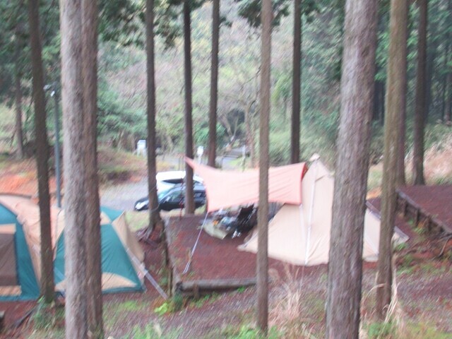 桃沢キャンプ場に設営したテントの様子