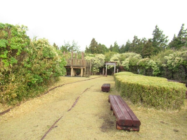 池の平山頂の様子