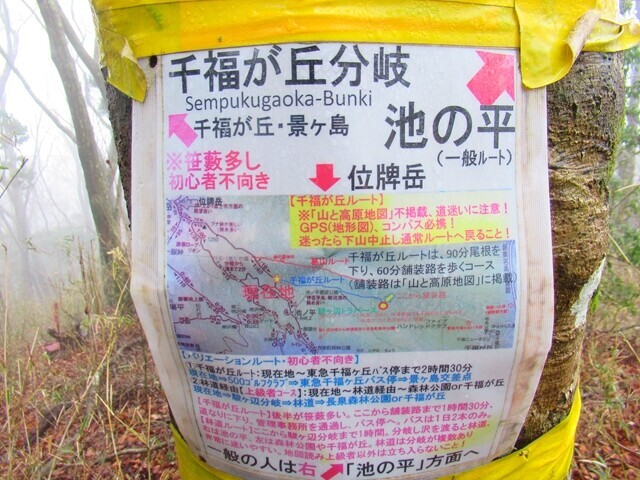 位牌岳への登山ルート千福が丘分岐