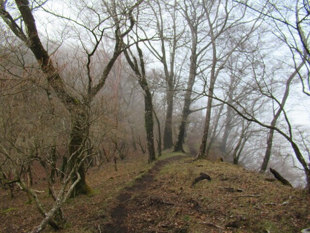 一ふく峠から袴腰岳への登山ルート