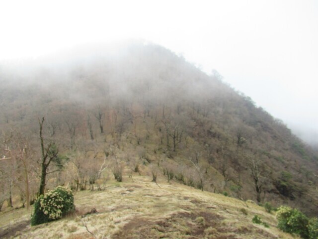 愛鷹山と袴腰岳のコル