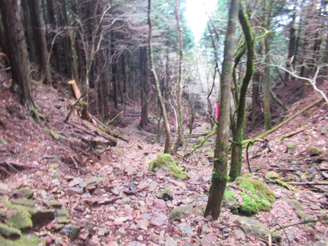 愛鷹山山頂から水神社(馬頭観音ルート)を目指して下山の様子