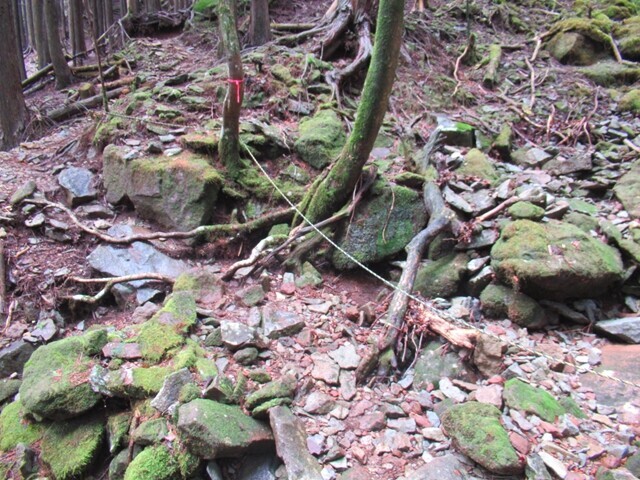 愛鷹山山頂から水神社登山ルートの詳細