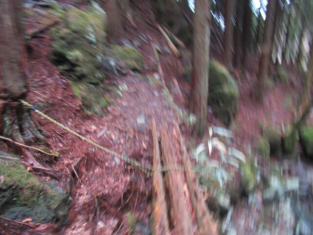 登山中転倒した時の様子