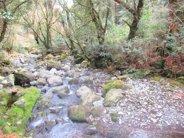 水神社の沢の景色