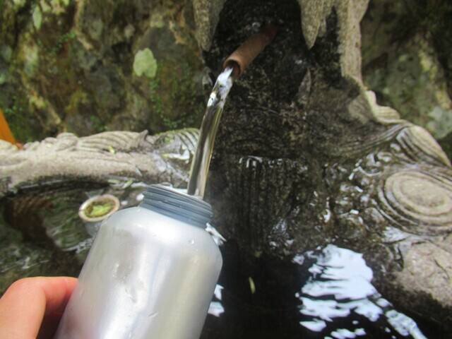 愛鷹山水神社の水を飲んでいる様子