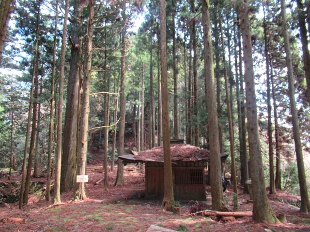 延暦寺まで雰囲気の良い登山ルート