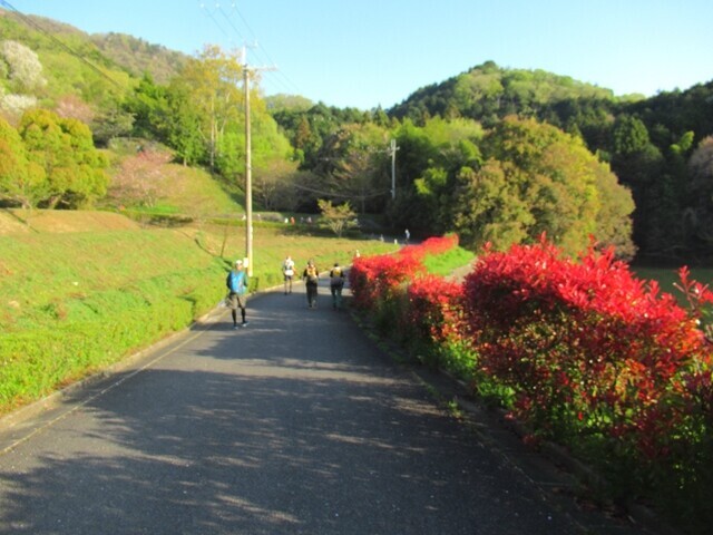 ダイトレチャレンジ登山に参加している登山者