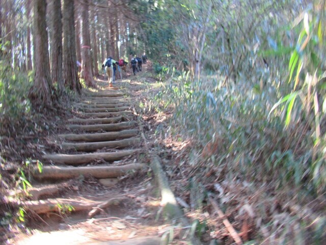 ダイヤモンドトレイル葛城山までの登山ルート