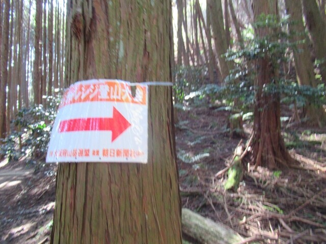 ダイトレチャレンジ登山道の案内板