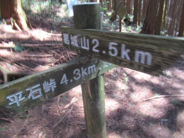 葛城山の道標