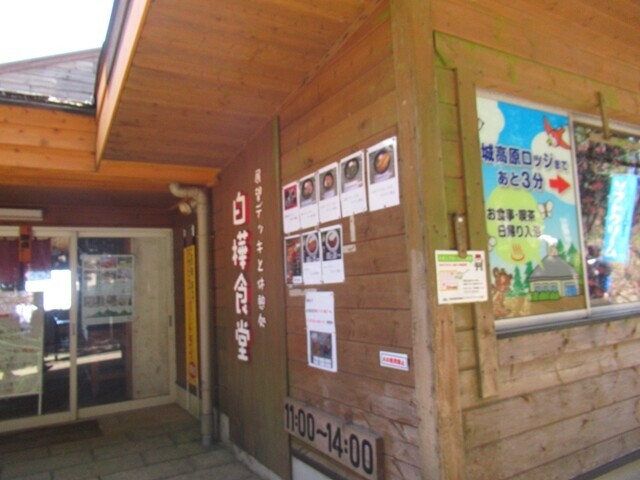葛城山の白樺食堂