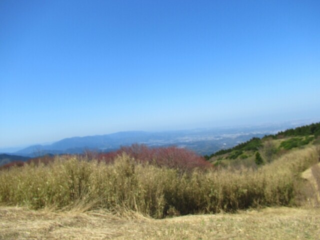 大和葛城山の山頂からの大阪方面の景色