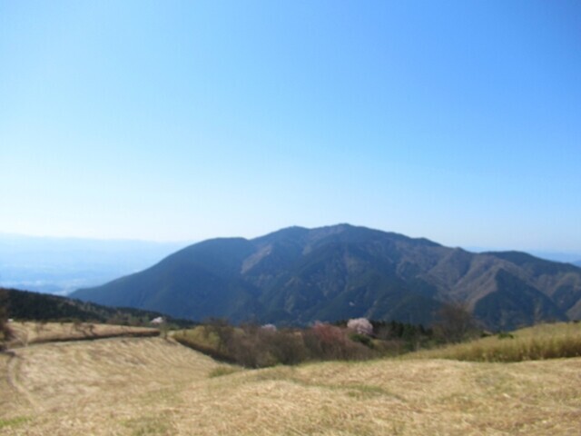 ダイトレチャレンジ登山で登る金剛山