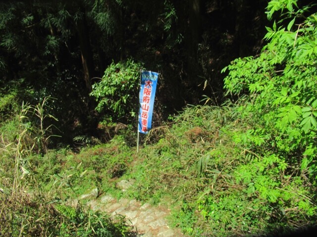 ダイトレチャレンジ登山中級のゴールであるちはや園地へのルートの様子