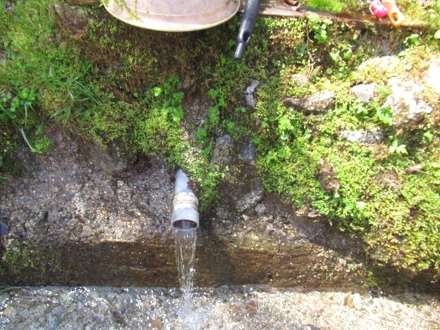 ダイトレチャレンジ登山の水場である金剛の水