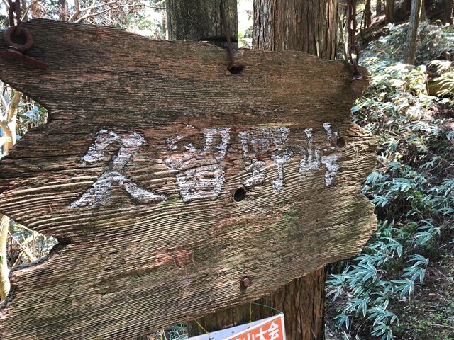 ダイトレチャレンジ登山の上級ゴール地点紀見峠駅を目指して登山スタート