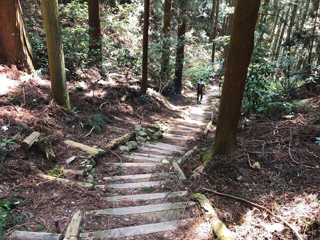 紀見峠駅への下り登山道の様子