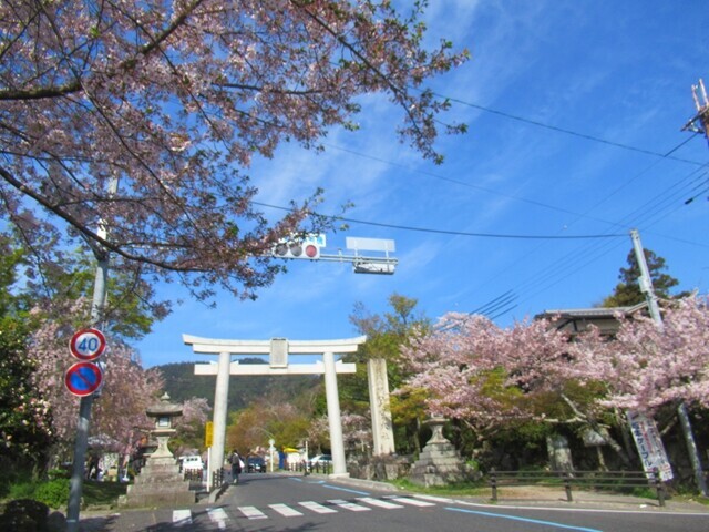 日吉大社の大鳥居