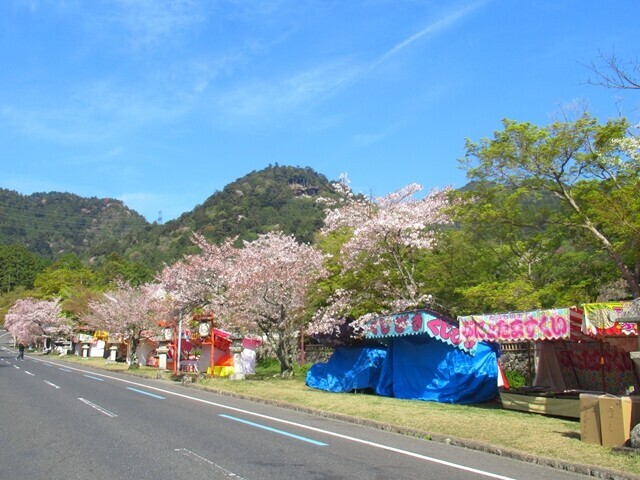 山王祭が開催されるので日吉大社の参道は屋台が多かった
