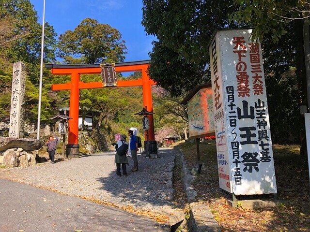 日吉大社の山王祭