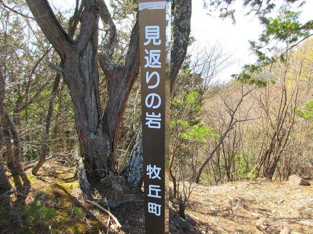 妙見山の三角点見返りの岩
