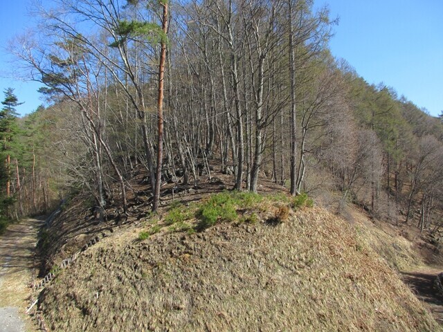 大沢山頭・小楢山へ登る場合の登山道