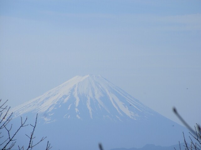 大沢山頭からの富士山の景色