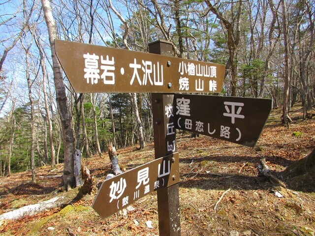 小楢山登山道一杯水分岐