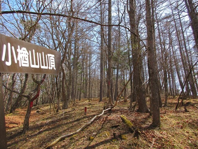 小楢山山頂への登山ルート