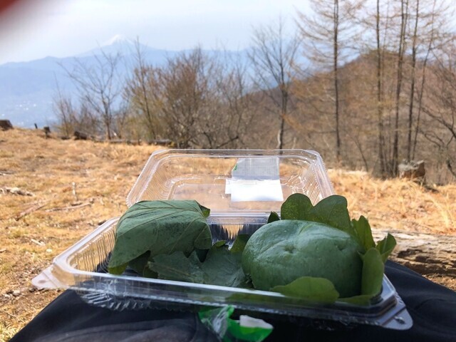 小楢山の山頂で昼飯で食べたヨモギ餅