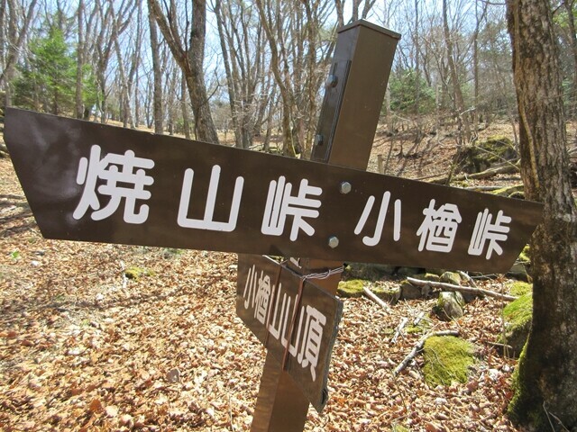 小楢山から焼山峠を目指して登山スタートの様子