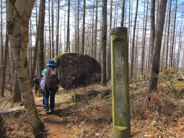 焼山峠までの登山道にある的石