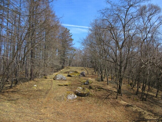 小楢山から焼山峠までの登山ルートは明るくて開放的